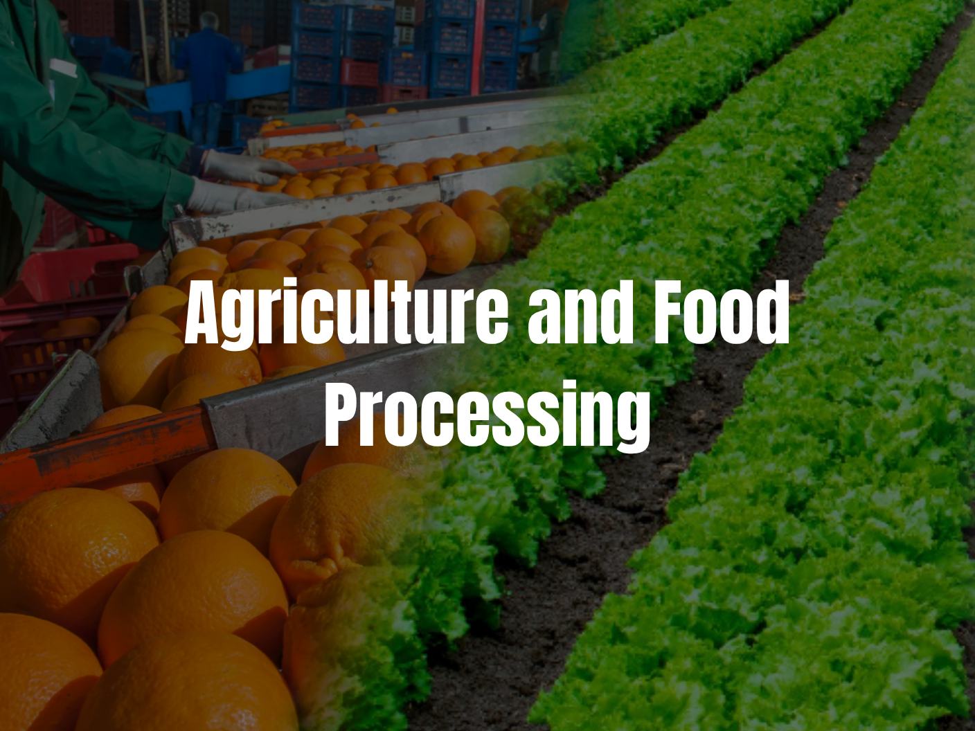 Agriculture and Food Processing – India–Africa Business Conclave 2025