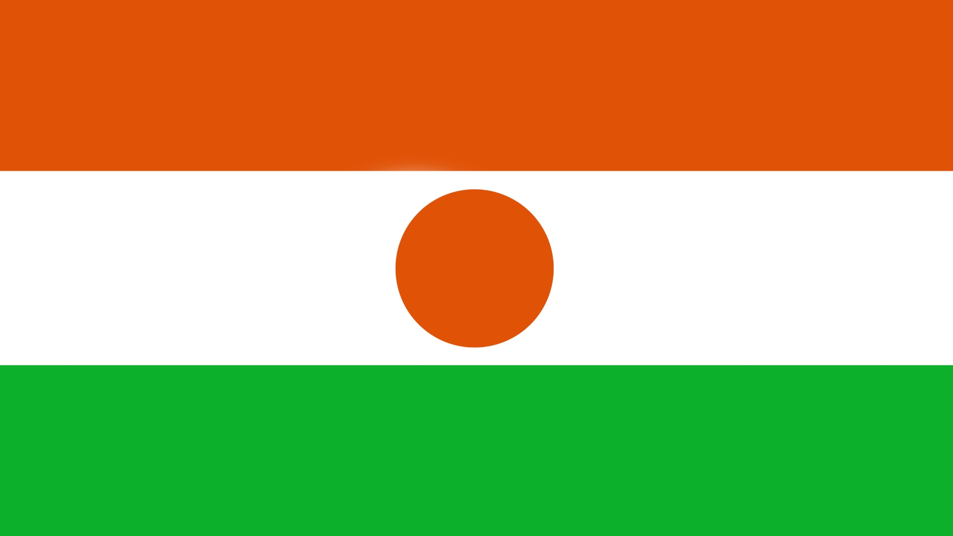 Niger Flag